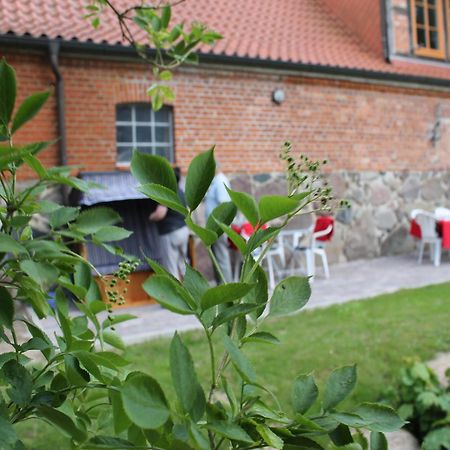 Mansion In Gressow With Terrace Garden Bbq Pond Bicycles Villa Eksteriør bilde