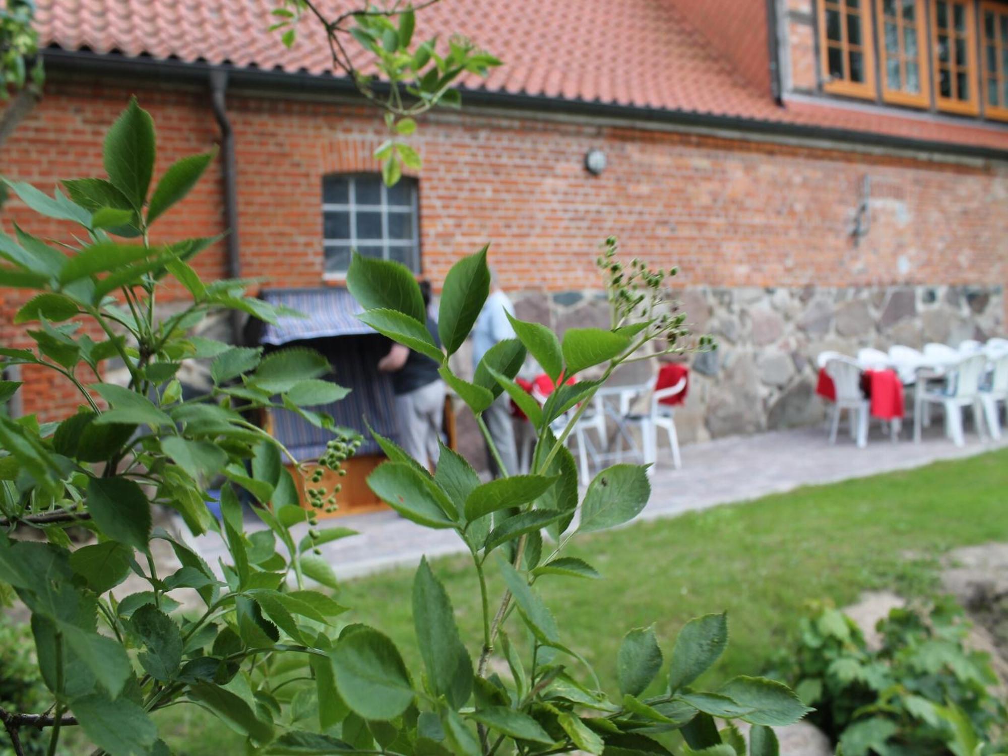 Mansion In Gressow With Terrace Garden Bbq Pond Bicycles Villa Eksteriør bilde